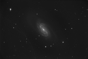 NGC 2903 12 minute raw uncalibrated luminance frame